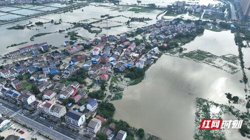 汨罗最新爆料事件新闻,事件真相浮出水面，真相令人震惊